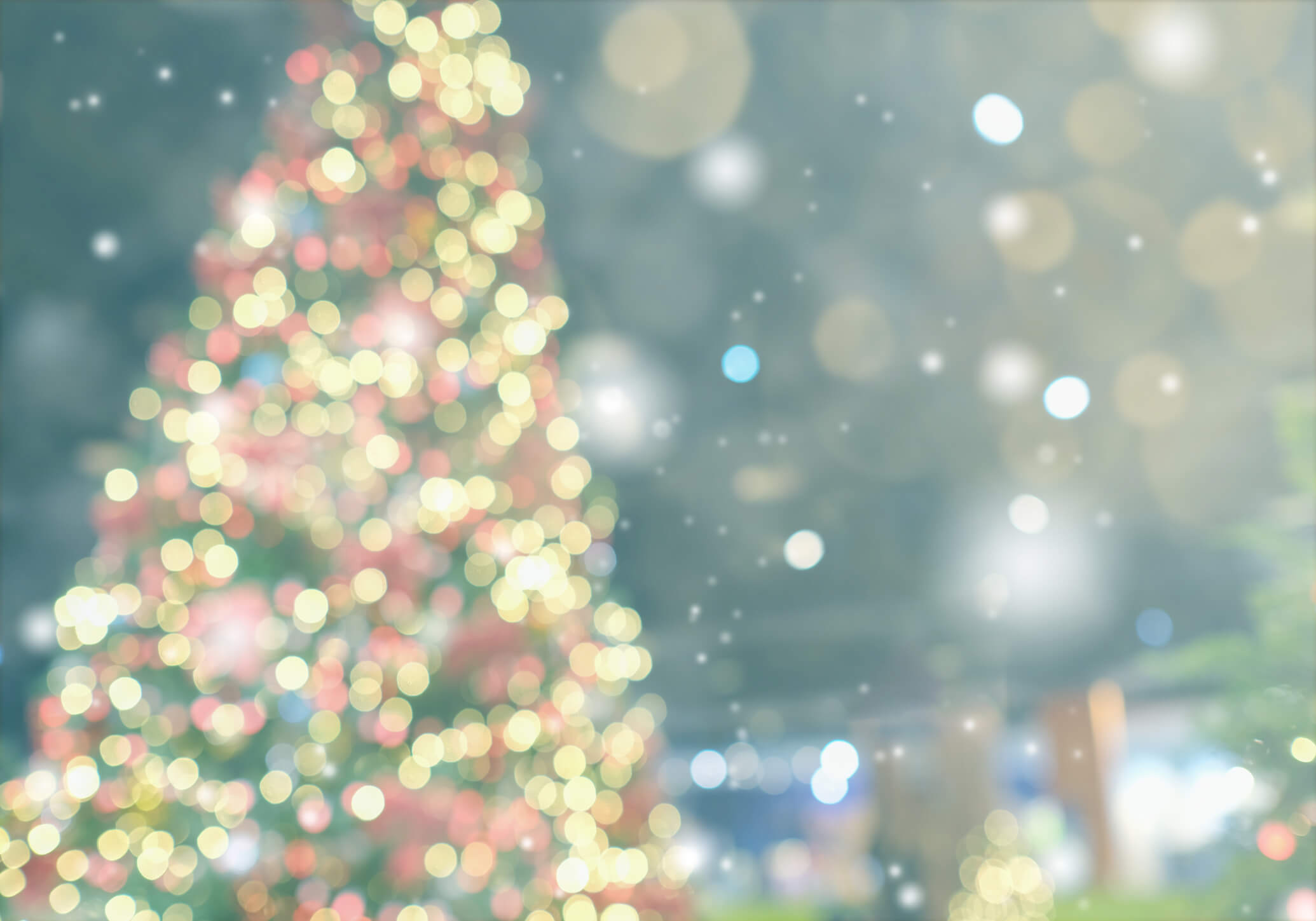 blurry image of twinkly lights in front of a decorated Christmas tree