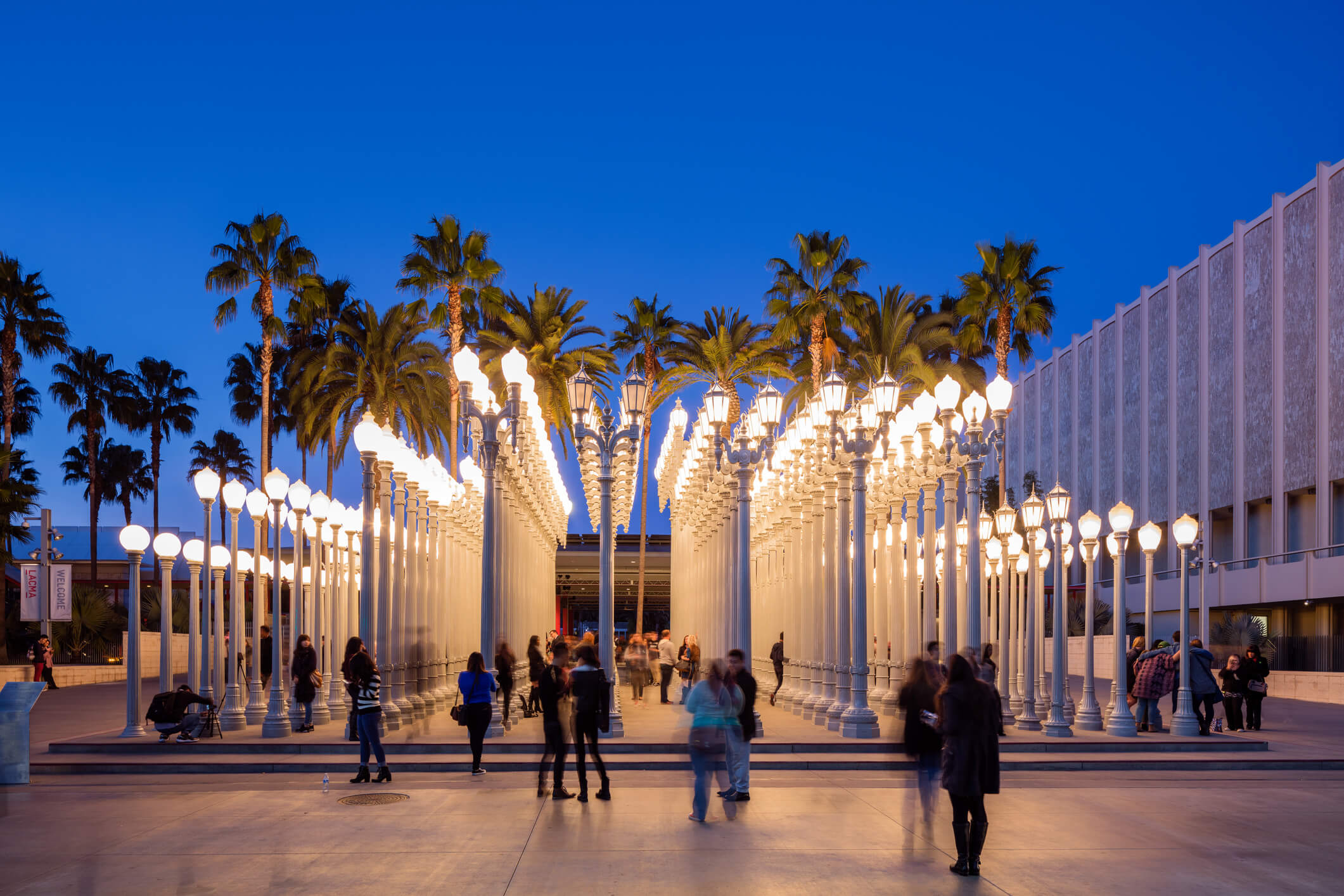 public space with light posts and palm trees